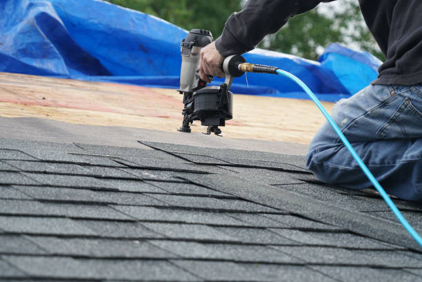 Best Metal Roofing Contractor  in Pleasant Prairie, WI